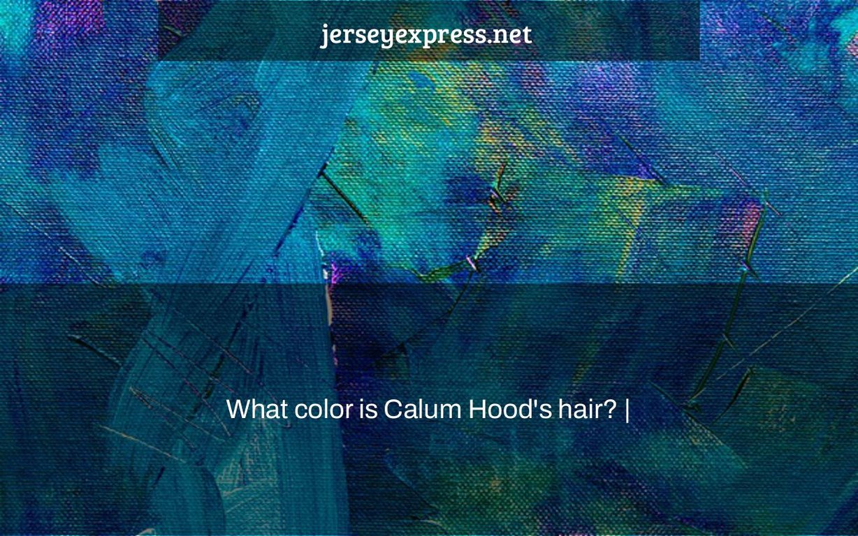 Calum Hood's Blue Hair Transformation in 2019 - wide 3